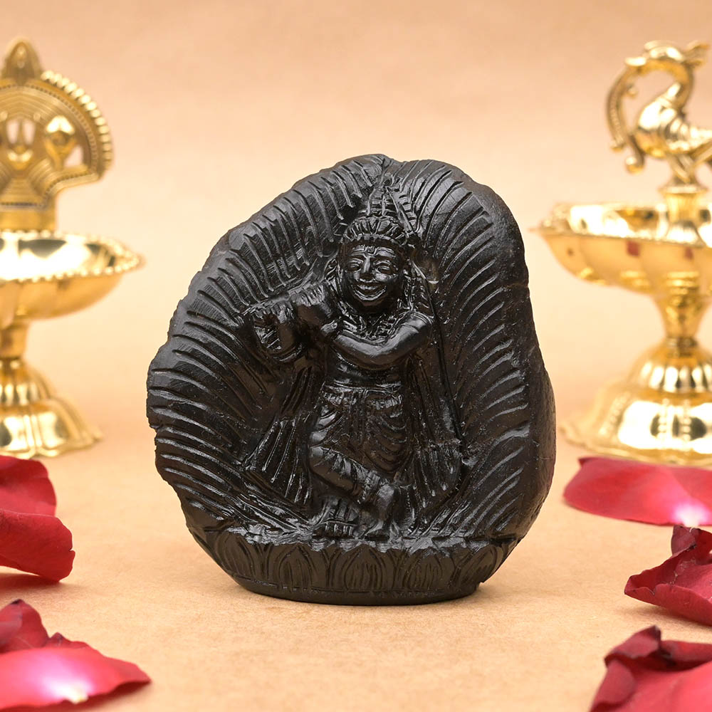 Krishna Shaligram Murti